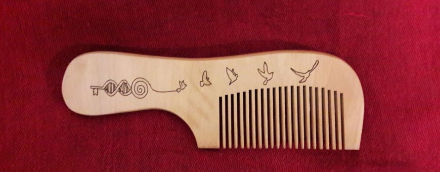 Волшебный гребень